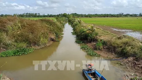 Nước mặn 'ngược dòng' vào sâu thượng lưu tỉnh Tiền Giang