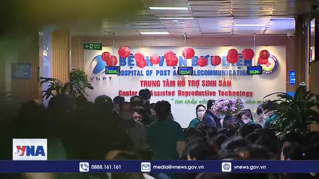 Vô sinh hiếm muộn gia tăng