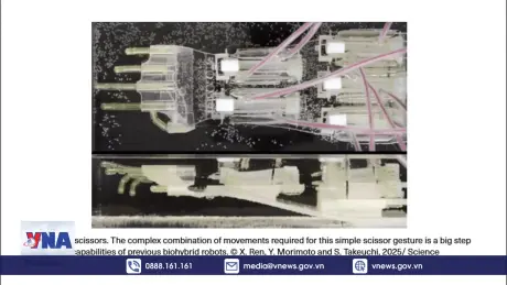 Bàn tay robot “lai sinh học” lớn nhất thế giới
