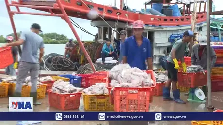 Bạc Liêu nhộn nhịp những chuyến biển đầu năm