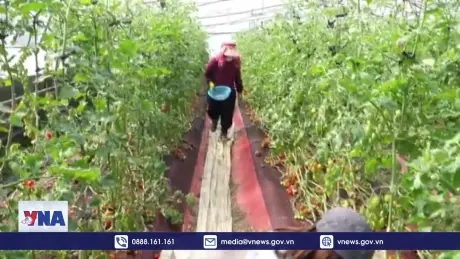 Khó khăn trên thị trường việc làm Hàn Quốc vẫn tiếp diễn