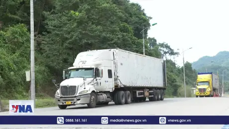 Việt Nam chi hơn 1,5 tỷ USD nhập rau quả từ Mỹ, Trung Quốc