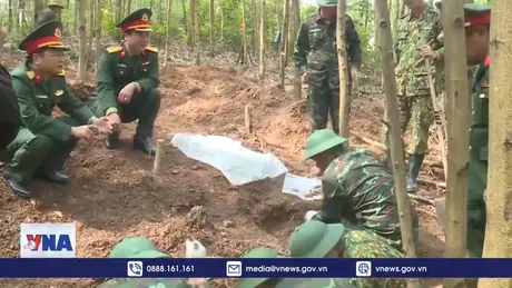 Phát hiện, quy tập 3 hài cốt liệt sỹ tại Quảng Trị