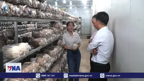 Tín dụng chính sách - trợ lực phát triển kinh tế ở Đồng Tháp