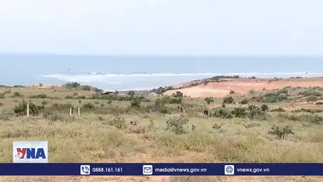 Loạt cơ chế đặc thù xây nhà máy điện hạt nhân