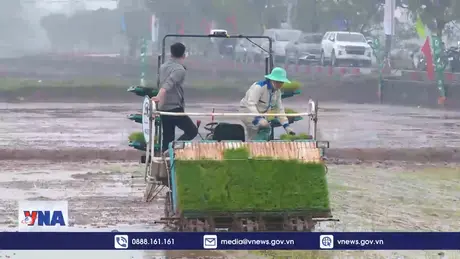 Sôi nổi Hội thi người vận hành máy cấy giỏi Hà Nội 2025