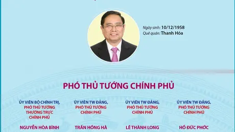 Thành viên Chính phủ nhiệm kỳ Quốc hội khóa XV (sau sắp xếp, tinh gọn)