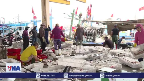 Đầu năm ngư dân tấp nập vươn khơi