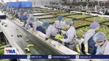 Doanh nghiệp Việt Nam đầu tư dự án nông nghiệp quy mô lớn tại Campuchia