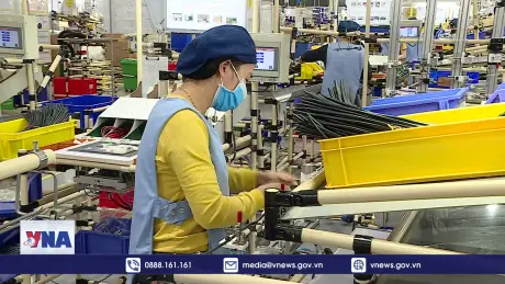 Xuất khẩu linh kiện, phụ tùng ô tô kỳ vọng tăng trưởng mạnh trong 2025