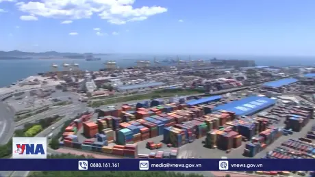 WTO nỗ lực giải quyết căng thẳng thương mại toàn cầu