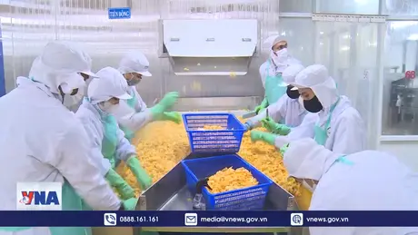 Tăng cường biện pháp vệ sinh dịch tễ và kiểm dịch động, thực vật.