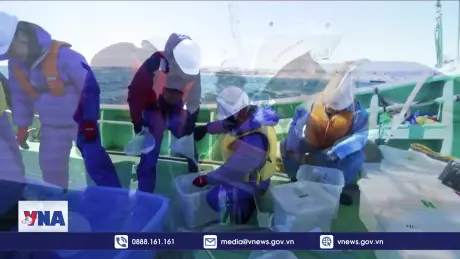 Nhật Bản nỗ lực thúc đẩy Trung Quốc dỡ bỏ hạn chế nhập khẩu hải sản