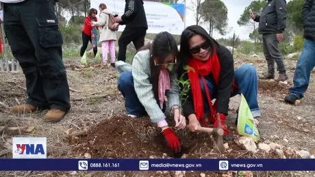 Trồng cây hữu nghị Việt Nam - Israel