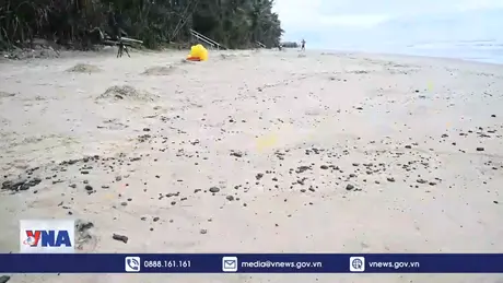 Hàng chục tấn dầu tràn vón cục trôi dạt vào bờ biển thành phố Huế