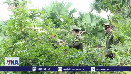 Hòa Bình bảo vệ và phát triển giá trị hệ sinh thái rừng