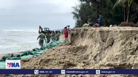 Bãi tắm đẹp nhất Quảng Ngãi bị triều cường xâm thực