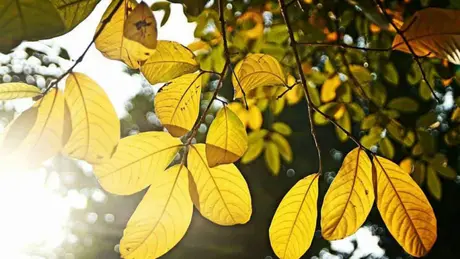 Thời tiết ngày 27/2: Bắc Bộ tăng nhiệt nhẹ, trưa chiều hửng nắng