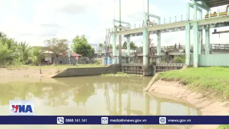 Đợt xâm nhập mặn nghiêm trọng nhất từ đầu mùa tại Đồng bằng sông Cửu Long