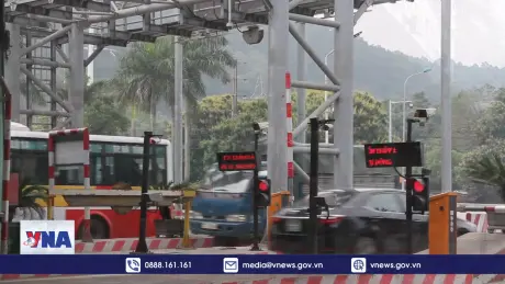 Thành phố Vinh kiến nghị miễn phí đường bộ qua cầu Bến Thủy 1