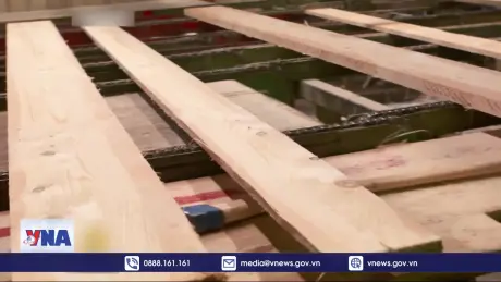 Mỹ mở cuộc chiến thương mại mới nhằm vào ngành gỗ