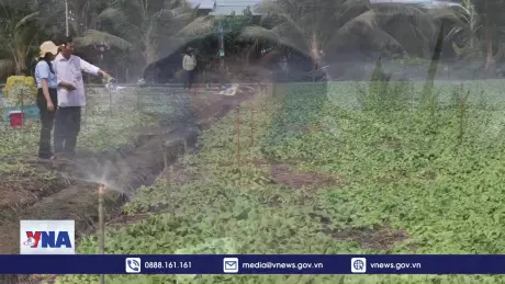 Tiền Giang chủ động phòng, chống hạn mặn 2025