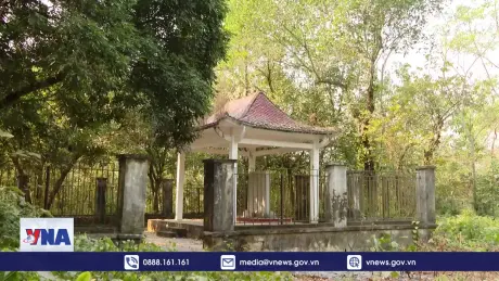 Phát huy truyền thống chiến khu cách mạng Quỳnh Lưu