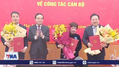 Bổ nhiệm Phó Ban Chính sách, chiến lược Trung ương