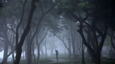 Thời tiết ngày 3/3: Bắc Bộ sáng sớm sương mù và mưa phùn, Nam Bộ có nơi nắng nóng