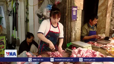 Người dân lo lắng về giá cả và chất lượng thịt lợn