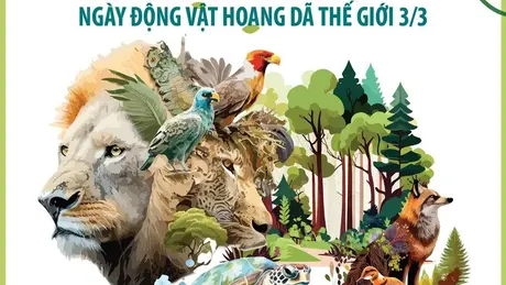 Ngày Động vật hoang dã thế giới 3/3: Những con số báo động