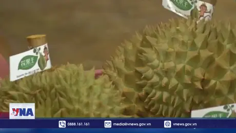 Thái Lan thắt chặt các biện pháp an toàn đối với nông sản xuất khẩu