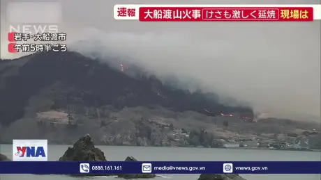 Hi vọng khống chế đám cháy rừng tồi tệ ở Nhật Bản