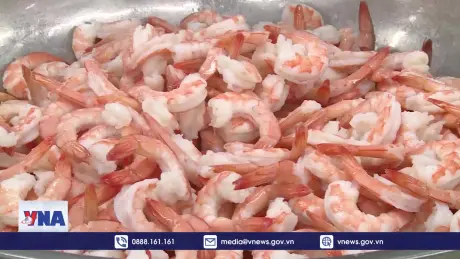 Ngành tôm đóng góp nhiều nhất cho xuất khẩu thủy sản