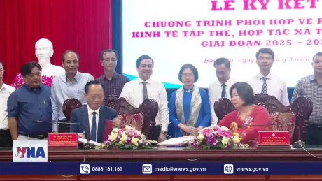 Tạo tiền đề cho kinh tế tập thể, hợp tác xã tỉnh Bạc Liêu tăng tốc