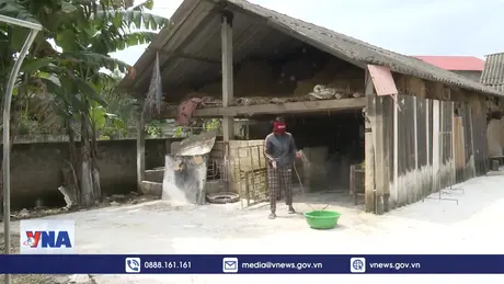 Hà Tĩnh tăng cường kiểm soát dịch tả lợn châu Phi