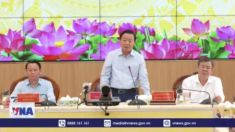 Chủ động điều hành sản xuất, tiêu thụ lúa gạo