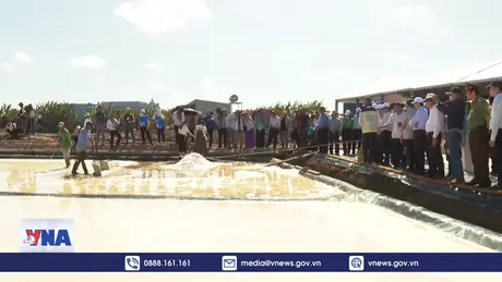 Bế mạc Festival nghề muối Việt Nam - Bạc Liêu năm 2025