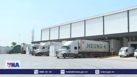 Việt Nam nhập khẩu thịt lợn đông lạnh hơn 100%