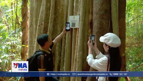 Gắn QR code cho cây, nâng cao hiểu biết về rừng