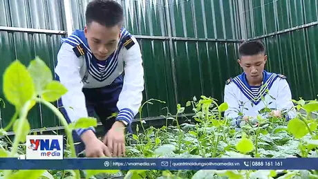 Những vườn rau xanh mát giữa muôn trùng sóng gió Trường Sa