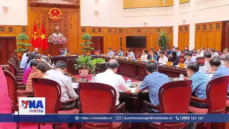 Xây dựng dự thảo Nghị quyết của Bộ Chính trị về y tế, giáo dục