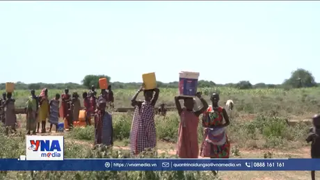 FAO công bố báo cáo về khủng hoảng lương thực   