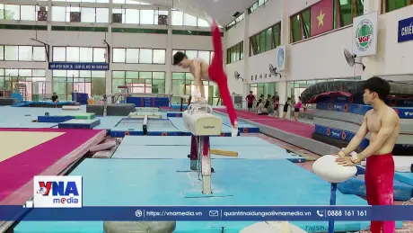 Hồi sinh giấc mơ vàng trên đấu trường thế giới