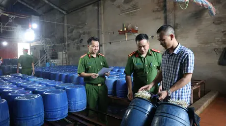 Khởi tố chủ cơ sở sản xuất hàng chục tấn giá đỗ “ngậm” thuốc kích thích tăng trưởng