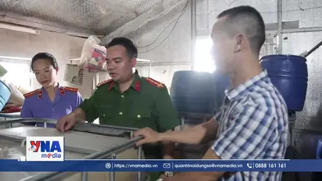 Khởi tố chủ cơ sở sản xuất hàng chục tấn giá đỗ “ngậm” thuốc kích thích tăng trưởng