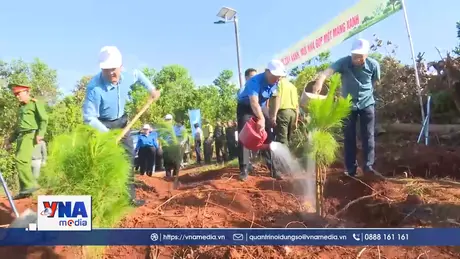 Đắk Nông phát động Tết trồng cây đời đời nhớ ơn Bác Hồ