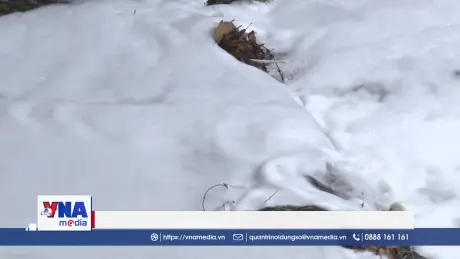 Đồng Nai xác minh nguồn thải gây sủi bọt suối Bà Lúa