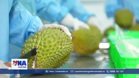 Vua trái cây sụt giảm kéo theo toàn ngành rau quả lao dốc