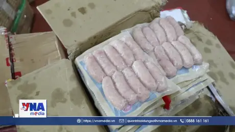  Lạng Sơn bắt giữ 1,2 tấn thực phẩm đông lạnh nhập lậu